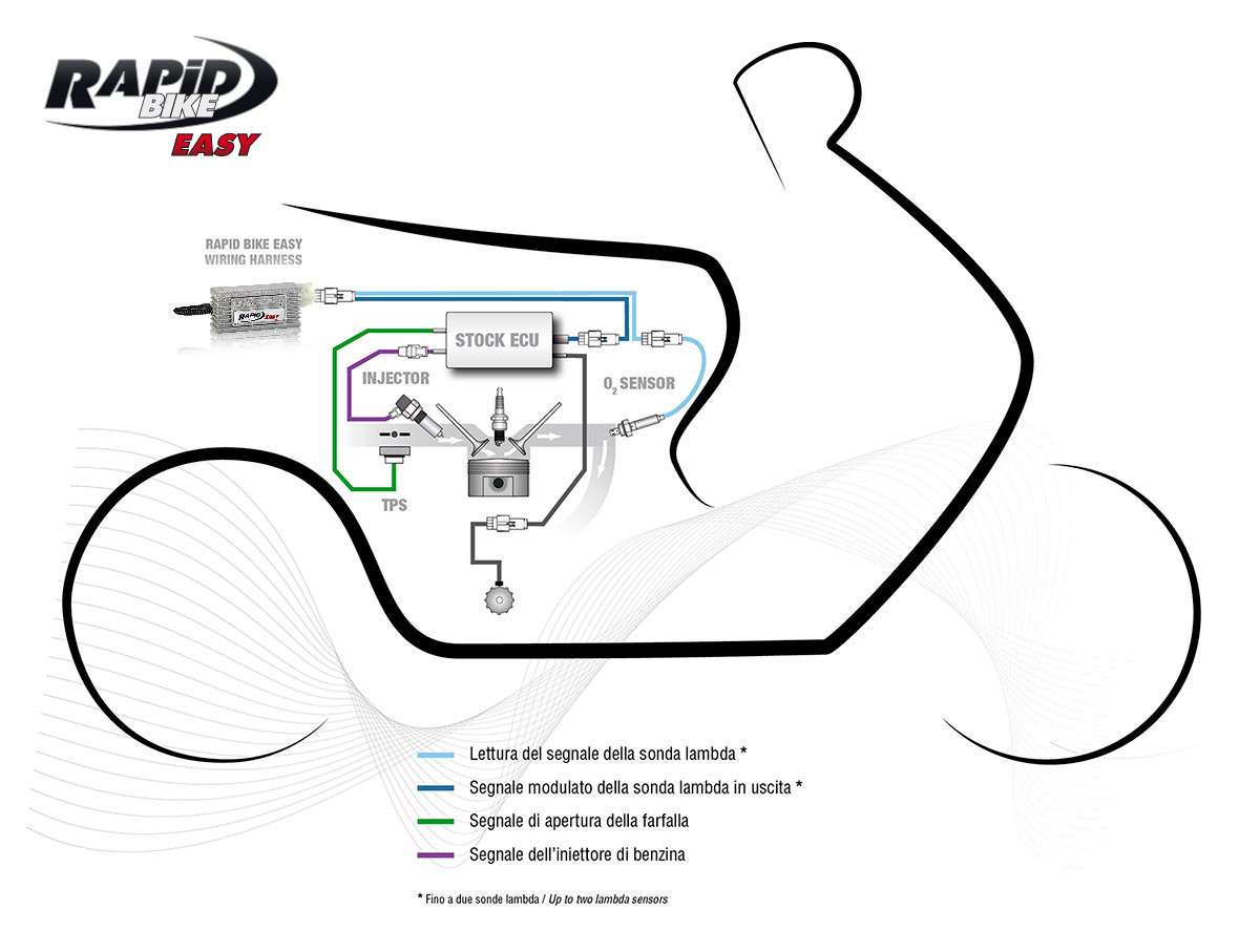 DiMSPORT RAPiD BIKE EASY